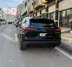 جیتۆر داشينگ